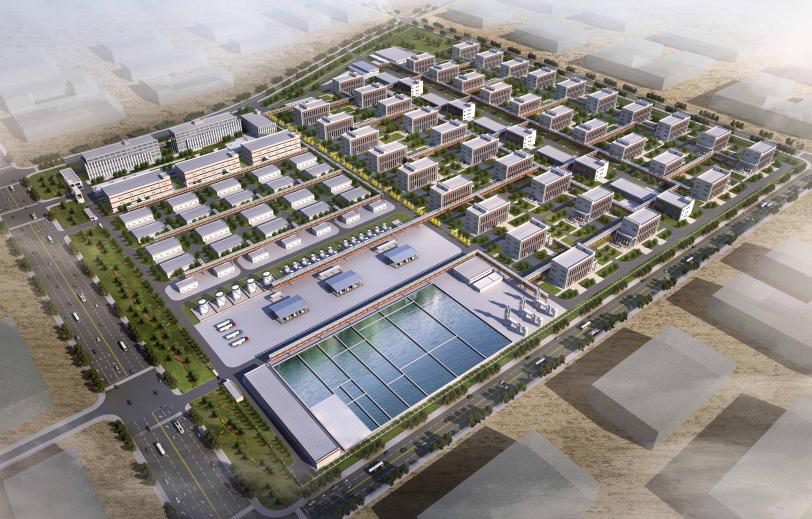 248cc��������(�й���)���޹�˾����