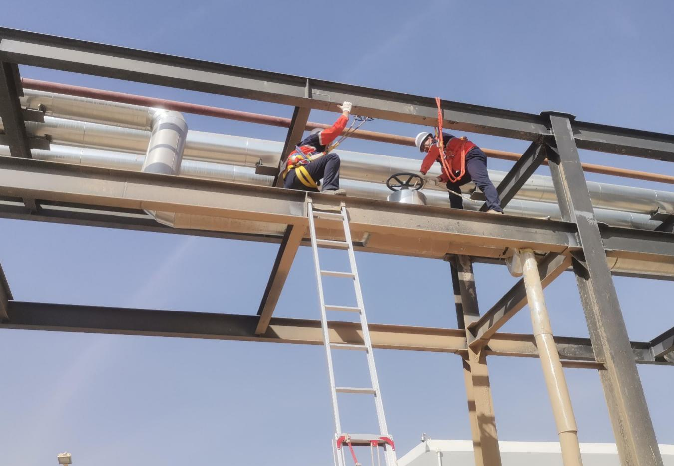 248cc��������(�й���)���޹�˾����