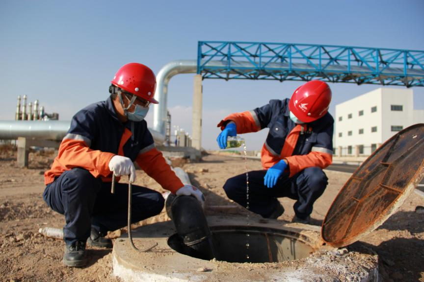 248cc��������(�й���)���޹�˾����