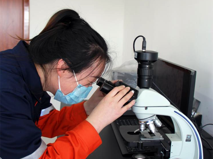 248cc��������(�й���)���޹�˾����