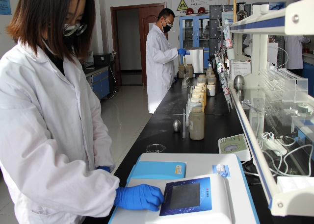 248cc��������(�й���)���޹�˾����