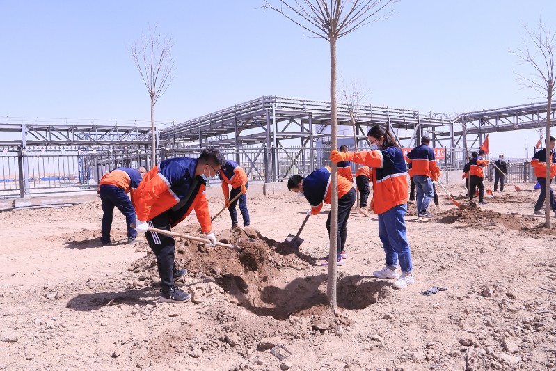 248cc��������(�й���)���޹�˾����