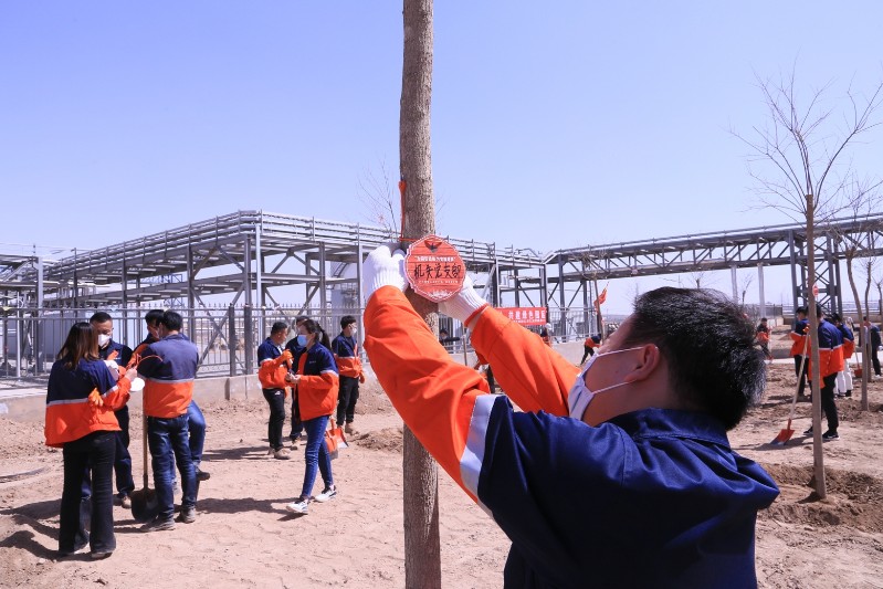 248cc��������(�й���)���޹�˾����