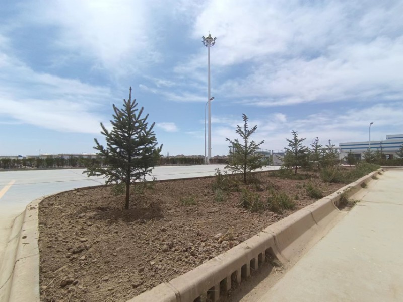 248cc��������(�й���)���޹�˾����