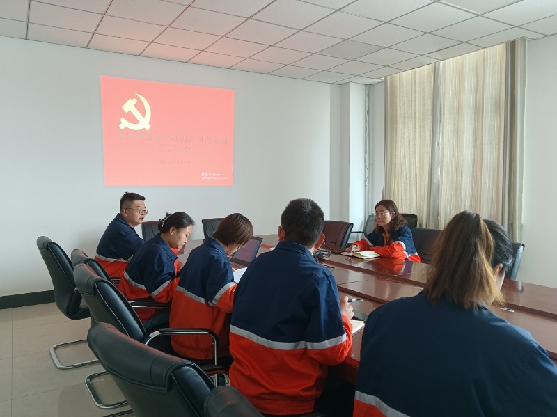 248cc��������(�й���)���޹�˾����