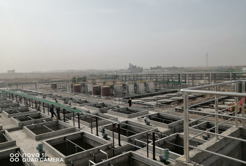 248cc��������(�й���)���޹�˾����