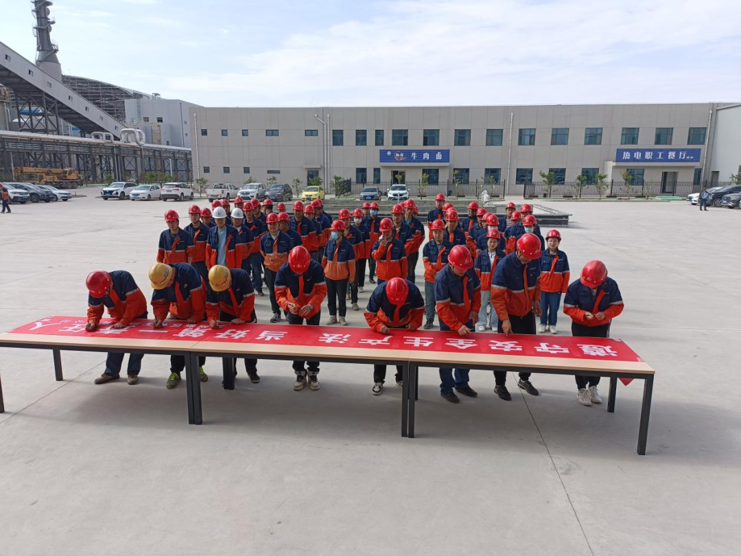 248cc��������(�й���)���޹�˾����