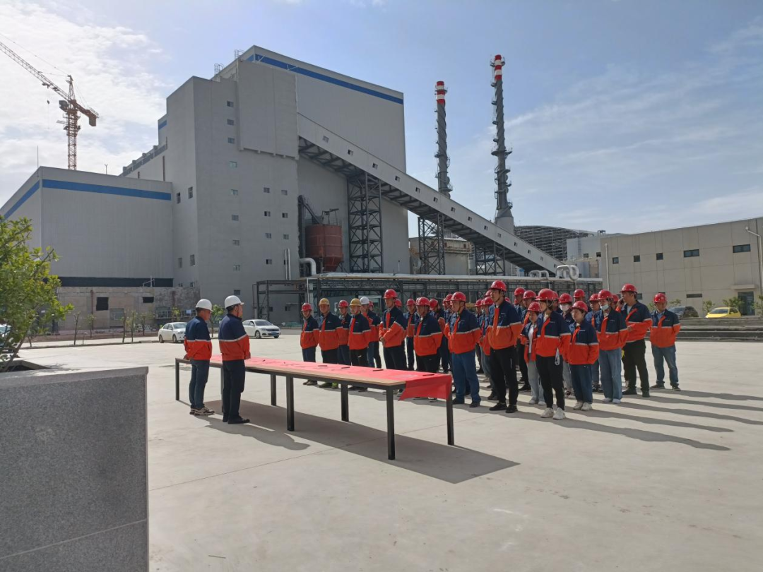 248cc��������(�й���)���޹�˾����