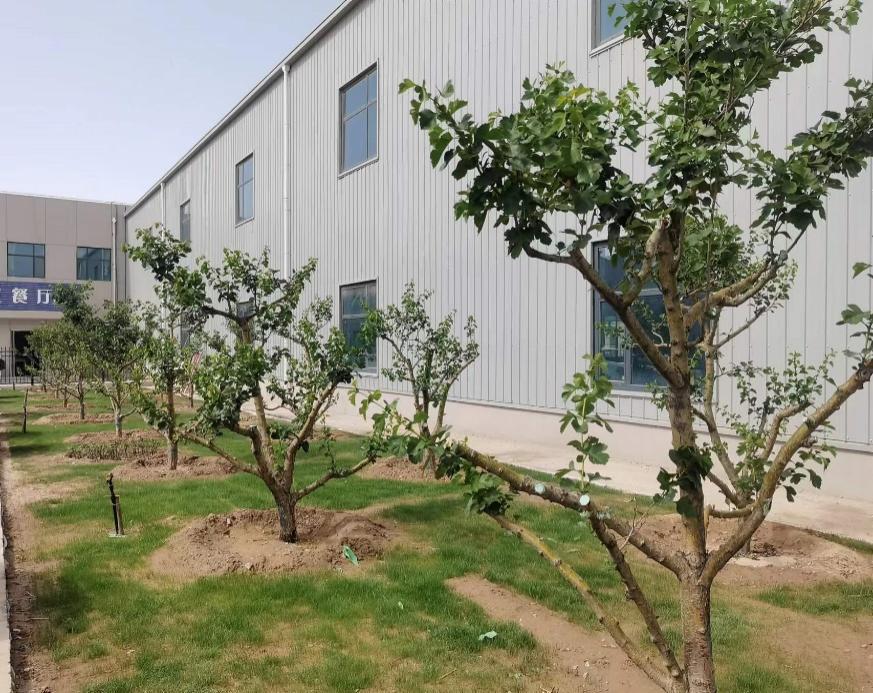 248cc永利集团(中国游)有限公司官网