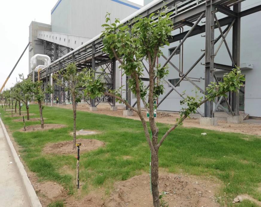 248cc��������(�й���)���޹�˾����