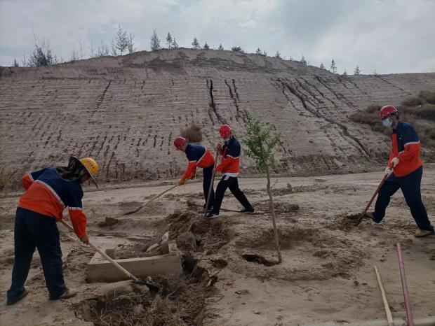 248cc��������(�й���)���޹�˾����