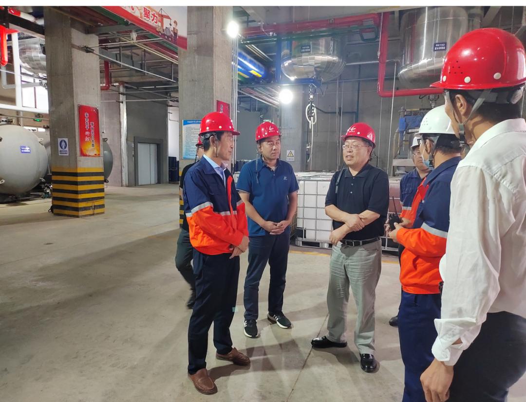 248cc��������(�й���)���޹�˾����