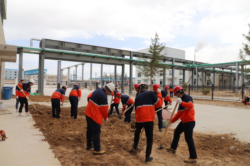 248cc��������(�й���)���޹�˾����