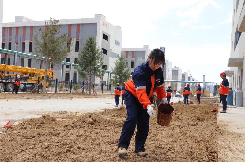 248cc��������(�й���)���޹�˾����