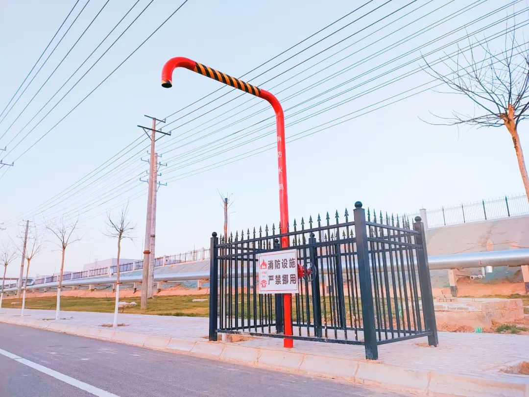 248cc��������(�й���)���޹�˾����